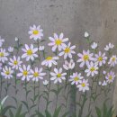 수정4동 골목시장 이미지