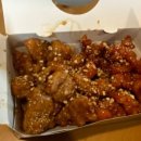 도시고양이생존연구소 이미지