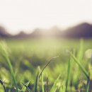 한국지엠서산서비스센터(주) 이미지