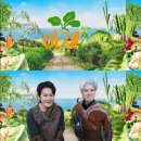 야채나라 이미지