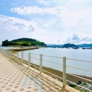 여수장 | 여수 장도 산책하기 좋은 곳 추천 여수여행 필수코스 주차장 물때 확인방법