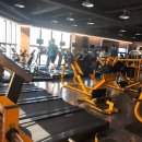 레몬핏 휘트니스 이미지