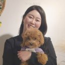 아지스테이션