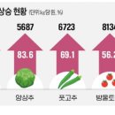 한경이네 농산물 이미지