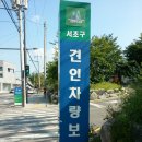 서초구견인차량보관소 이미지