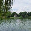 하노이완 이미지