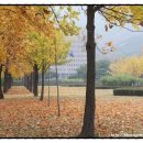 과천문화원 강의실 이미지