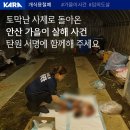 토막난 사체가 되어 돌아온 가을이 살해사건, 탄원 서명 이미지