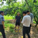 괴산군농업기술센터 이미지