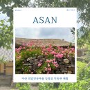 씨유아산외암마을점 | 아산 외암민속마을 입장료 민속관 체험 충남 아산 가볼만한곳
