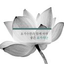 정미혜요가센터