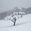 현대목장 이미지