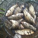 고기백과 Daum카페