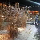 에덴파라다이스호텔 이미지