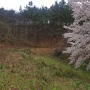 신두2리다목적회관 이미지