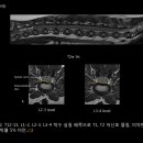 수서동물병원 이미지