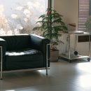 스테이무카 이미지