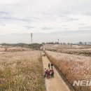 도시숲 산책길 이미지