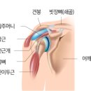 텐퍼센트짐