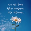 풍요로화