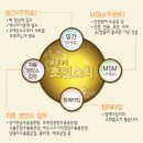 신도식품