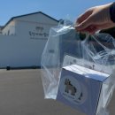 드링크목장 | 승마체험을 할 수 있는 서귀포카페 목장카페 밭디