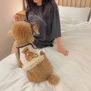 위드 마이 펫 이미지