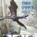 무엇