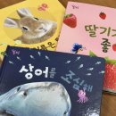 그레이트북스 놀라운 자연 전집 분당 꿈담 서점 구매후기 (+어마어마한 혜택 어쩔?)