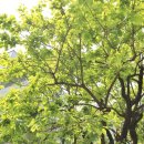 명지 공인중개사사무소 이미지