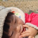 크립토쿠키 네이버블로그