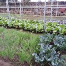 여유펜션 이미지