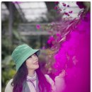 아산 세계 꽃 식물원 이미지