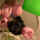 (주)아성다이소 평택장당점 | 3월의 마지막주 보내기