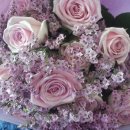 라움펜션 이미지