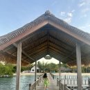 동박새우는집 | 인도네시아 코모도섬_스노클링 가능한 리조트 수다말라 세라야 :)