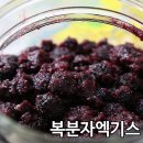 원준농장 네이버블로그