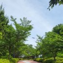 대종2리 이미지