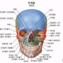좋이