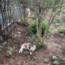 흥림식당 | [충남 서천]부모님 모시고 가기 좋은 힐링 여행지 추천(흥림다원+치유의숲)