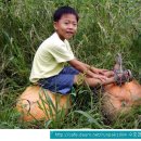 하늘농장8 이미지