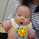 잼마 - 강남구 삼성로 212 | 동탄 롯데백화점 문화센터 5개월~7개월 수강 후기 | 소풍가는 하마 , 잼마뮤직 프리미엄