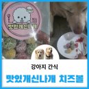 맛있개신나개 이미지