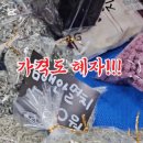 경주건어물