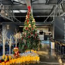 바이서유 이미지