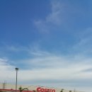 미국 ~COSTCO~ 이미지