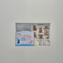 비니펫살롱 이미지