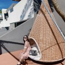 슈가브리움 이미지