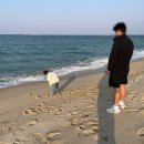 성사2호(별모래 어린이공원) | 라카이 샌드파인 근처 맛집,볼거리(경포호수자전거,다모아식당,9남매두부집,강릉중앙시장,엄지네포장...