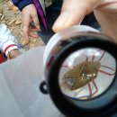 대원유치원 이미지